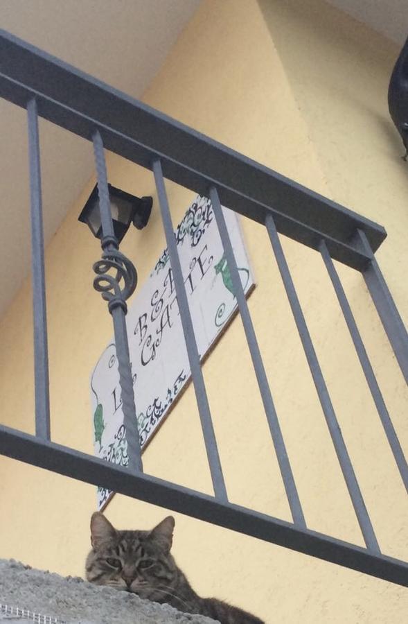 Le Gatte Panzió Eboli Kültér fotó